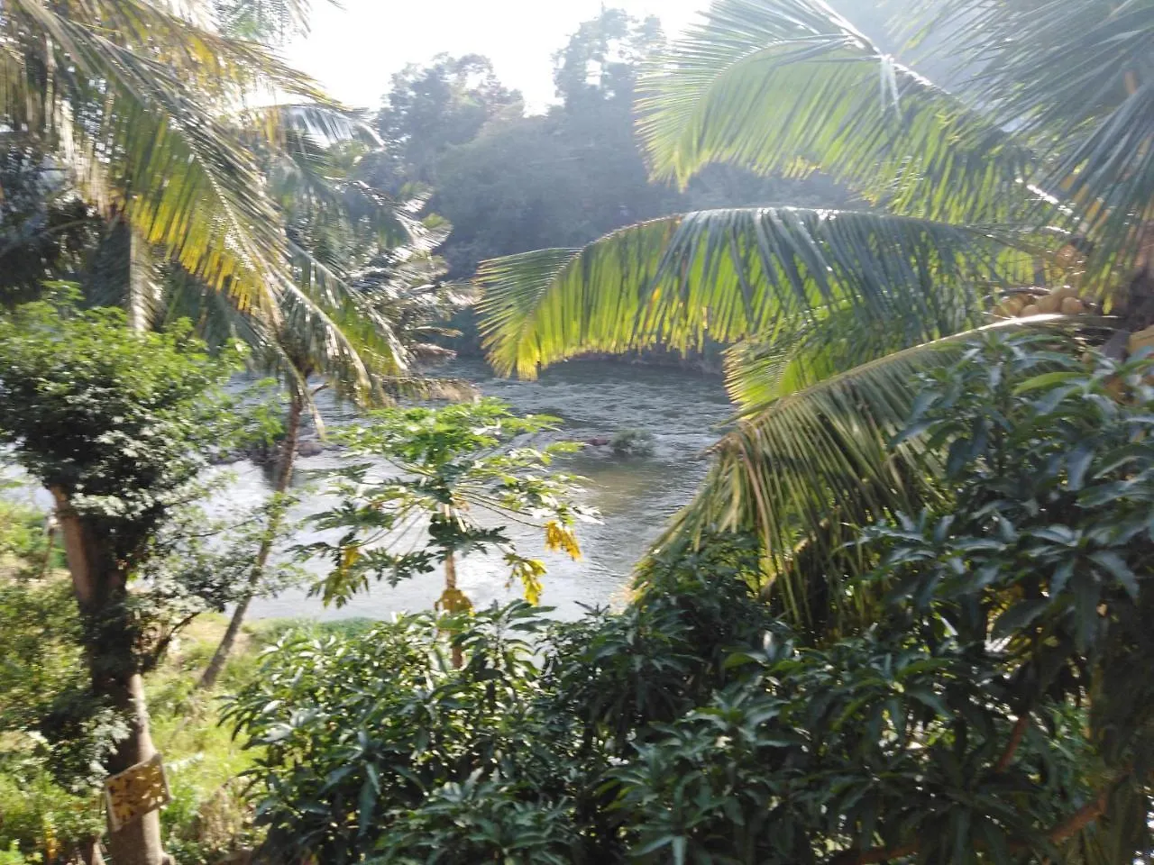 Honeypot Restaurant & Guest House Kandy Sri Lanca