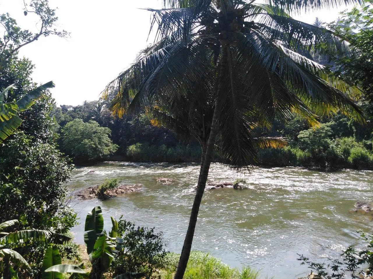 Honeypot Restaurant & Guest House Kandy 0*,  Sri Lanca