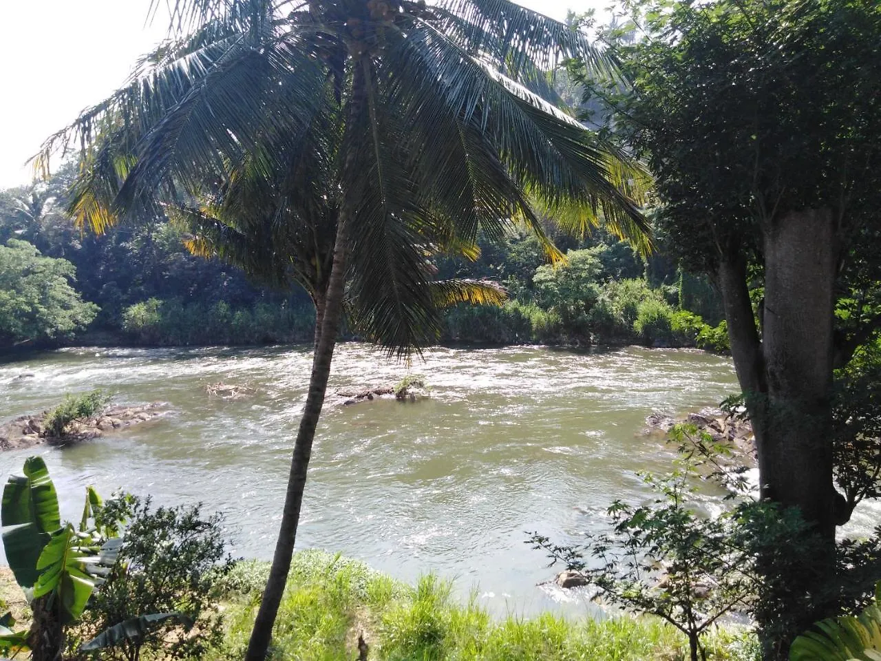 Honeypot Restaurant & Guest House Kandy Sri Lanca